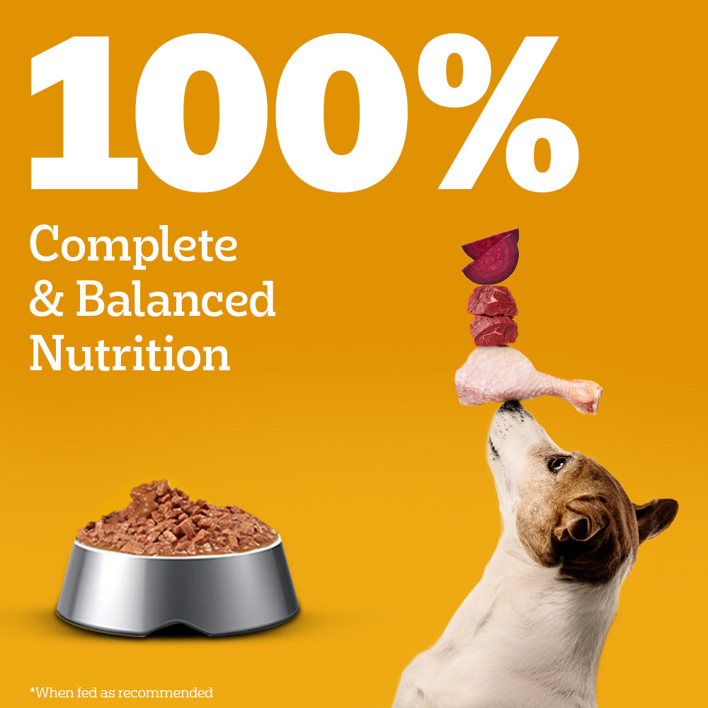 Pedigree Roasted Lamb Flavour Chunks in Gravy Adult Dog Wet Food image 9