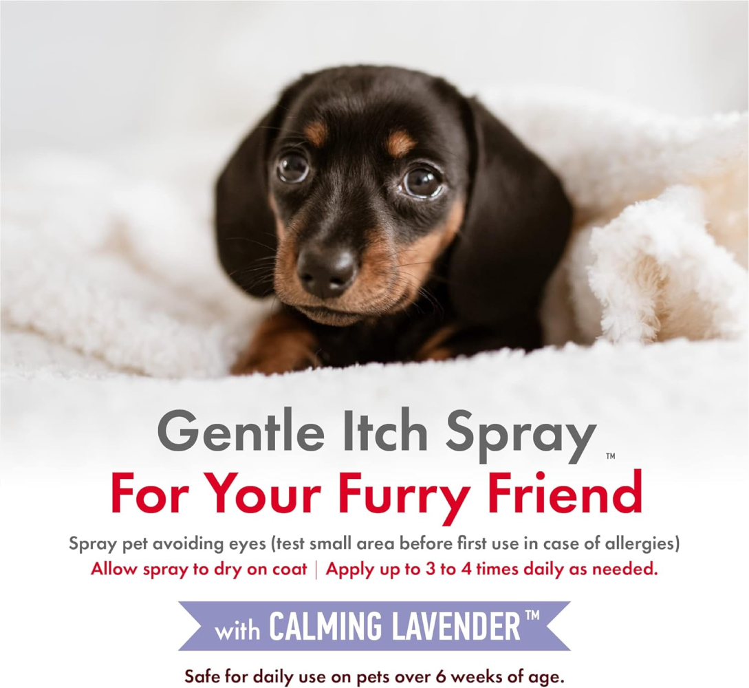 Petkin Lavender Hemp Calming itch Spray for Dogs and Cats image 6