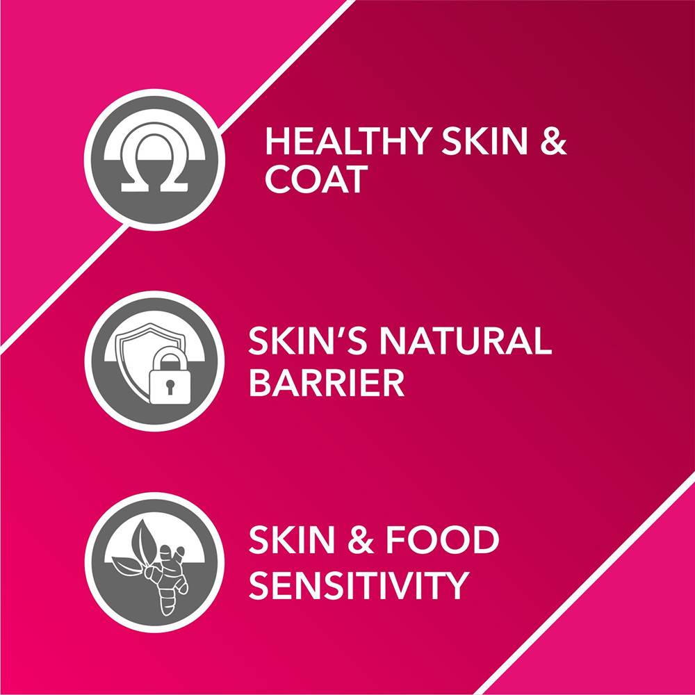 Drools Absolute Skin & Coat Supplement Tablets for Dogs image 2