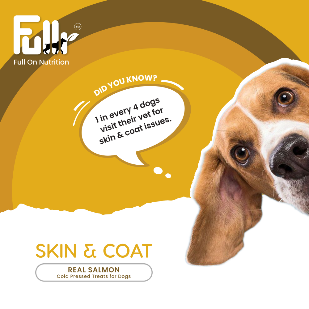 Fullr Skin and Coat Cold Pressed Dog Treats image 3