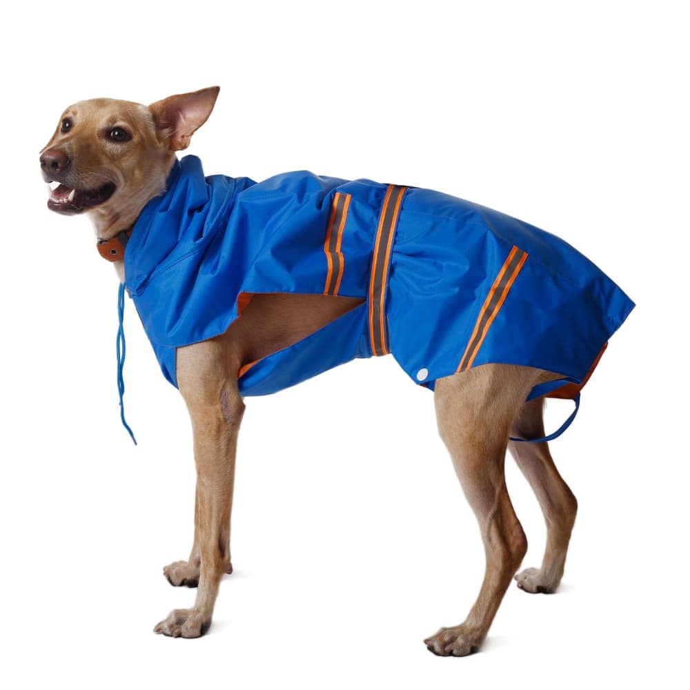 PetWale Reflective Raincoat for Dogs (Royal Blue) image 7
