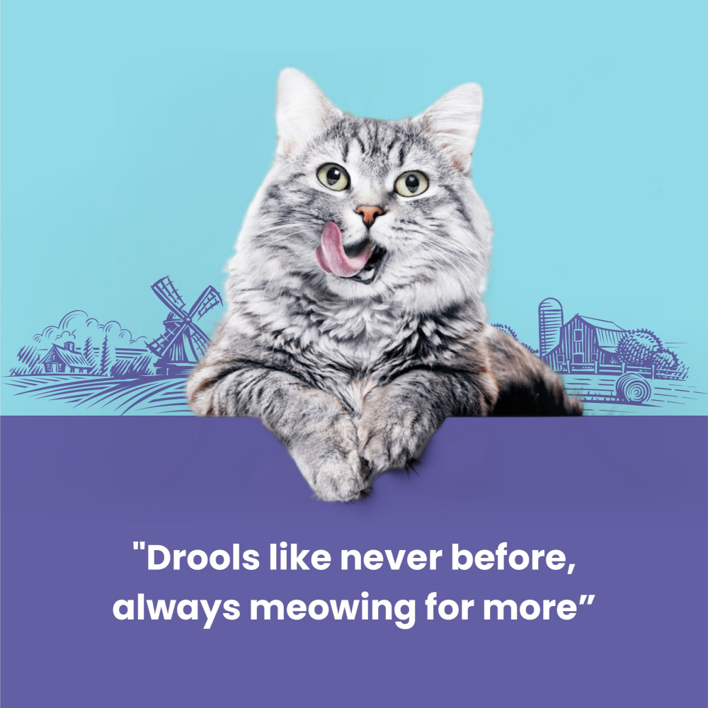 Catfest Pillows with Chicken Cream Cat Treats image 3