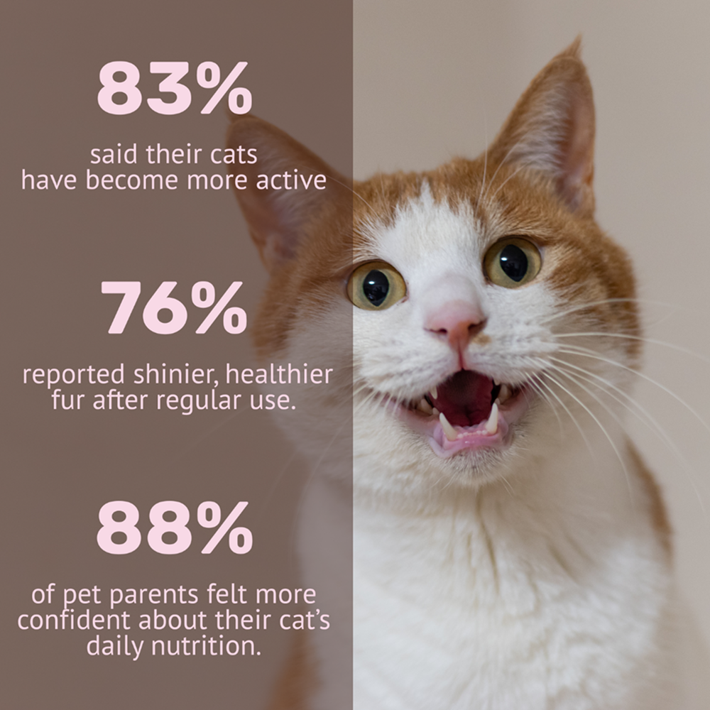 Absolut Pet Multivitamin Mousse Cat Supplements image 5