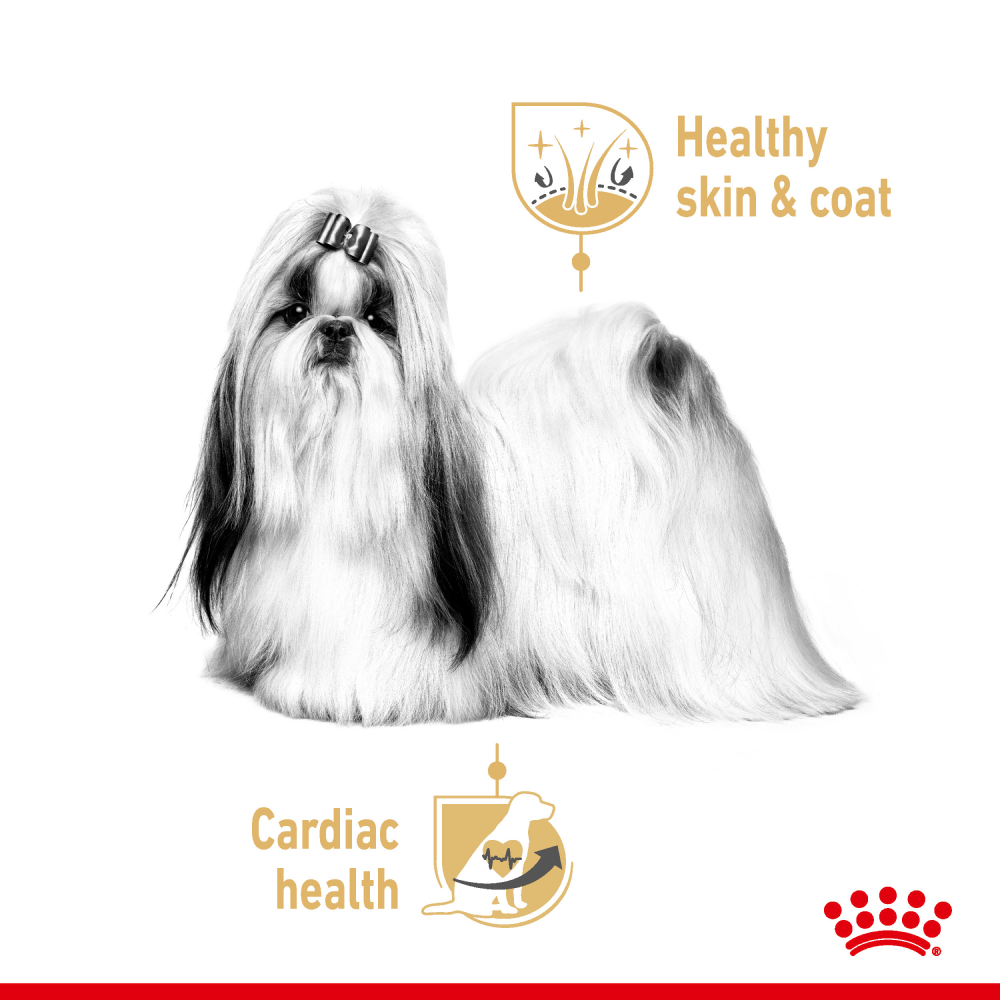 Royal Canin Loaf In Gravy Shih Tzu Adult Dog Wet Food image 3