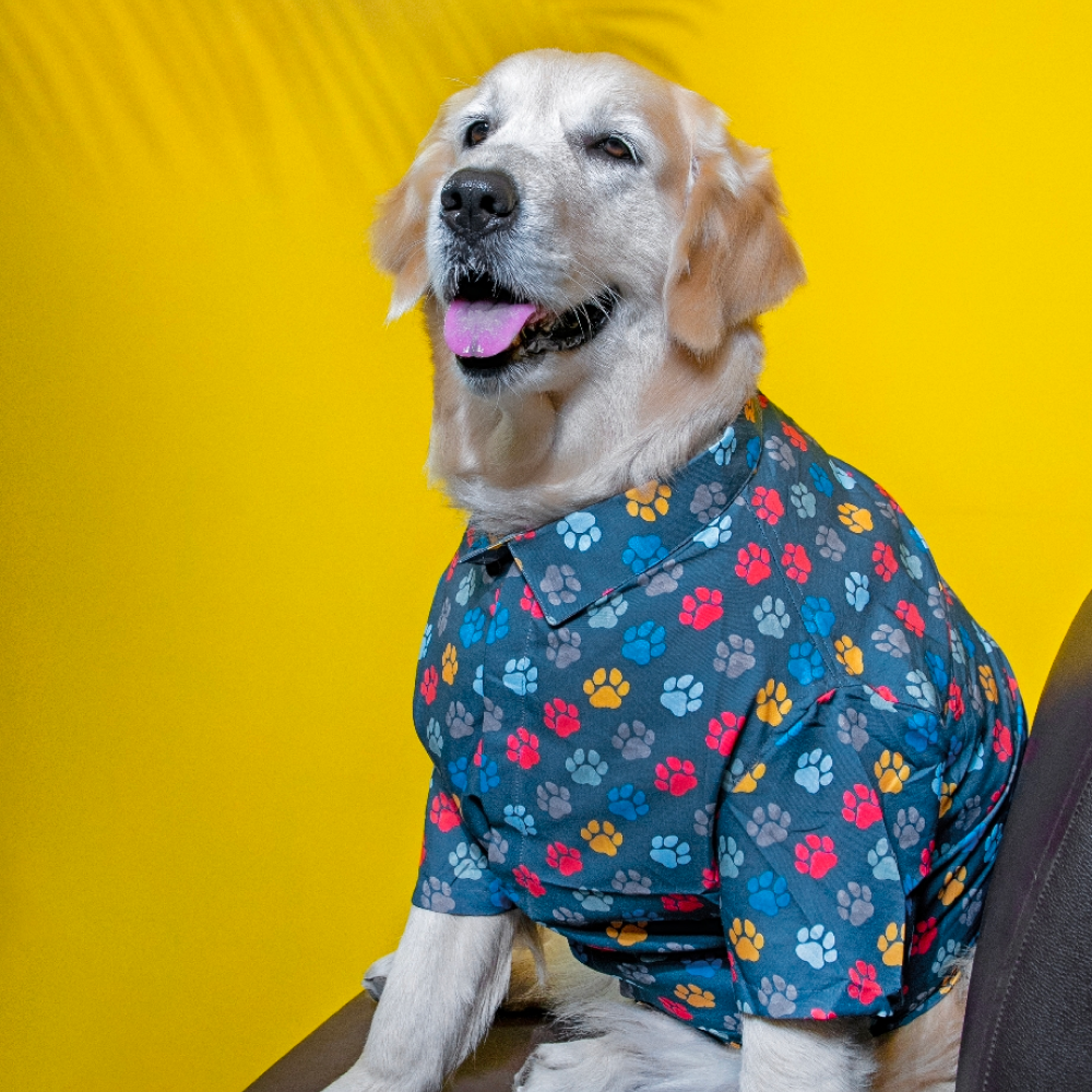 15buttons Pawsome Shirt for Dogs image 3