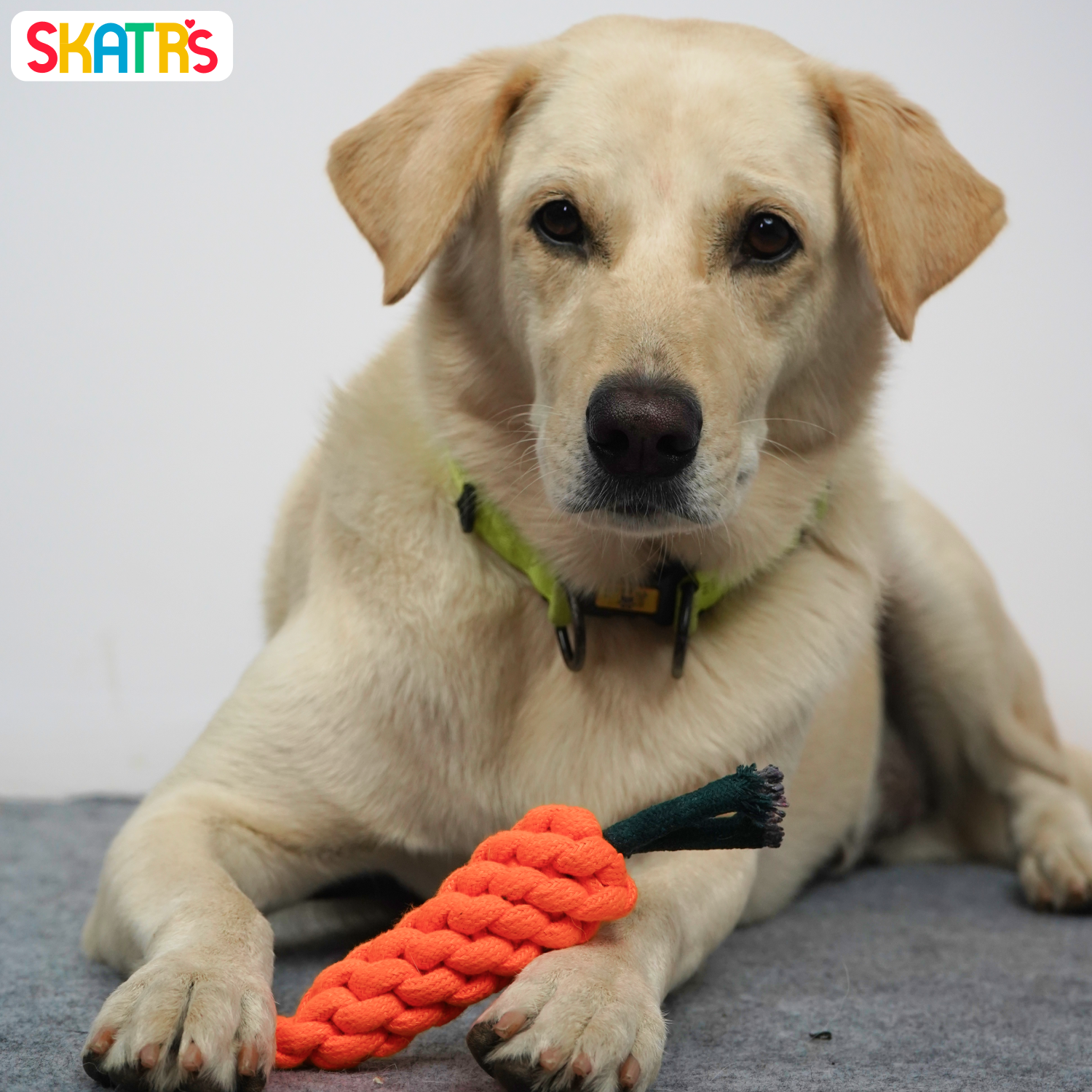 Skatrs Carrot Shaped Rope Chew Toy for Dogs and Cats (Orange) image 3