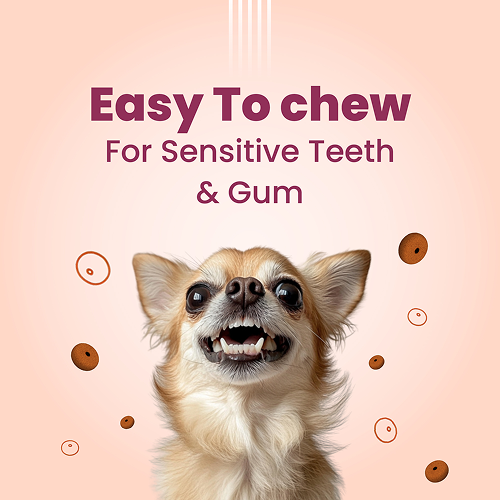 Bark Out Loud Chicken Rings Soft Chews Dog Treats image 6