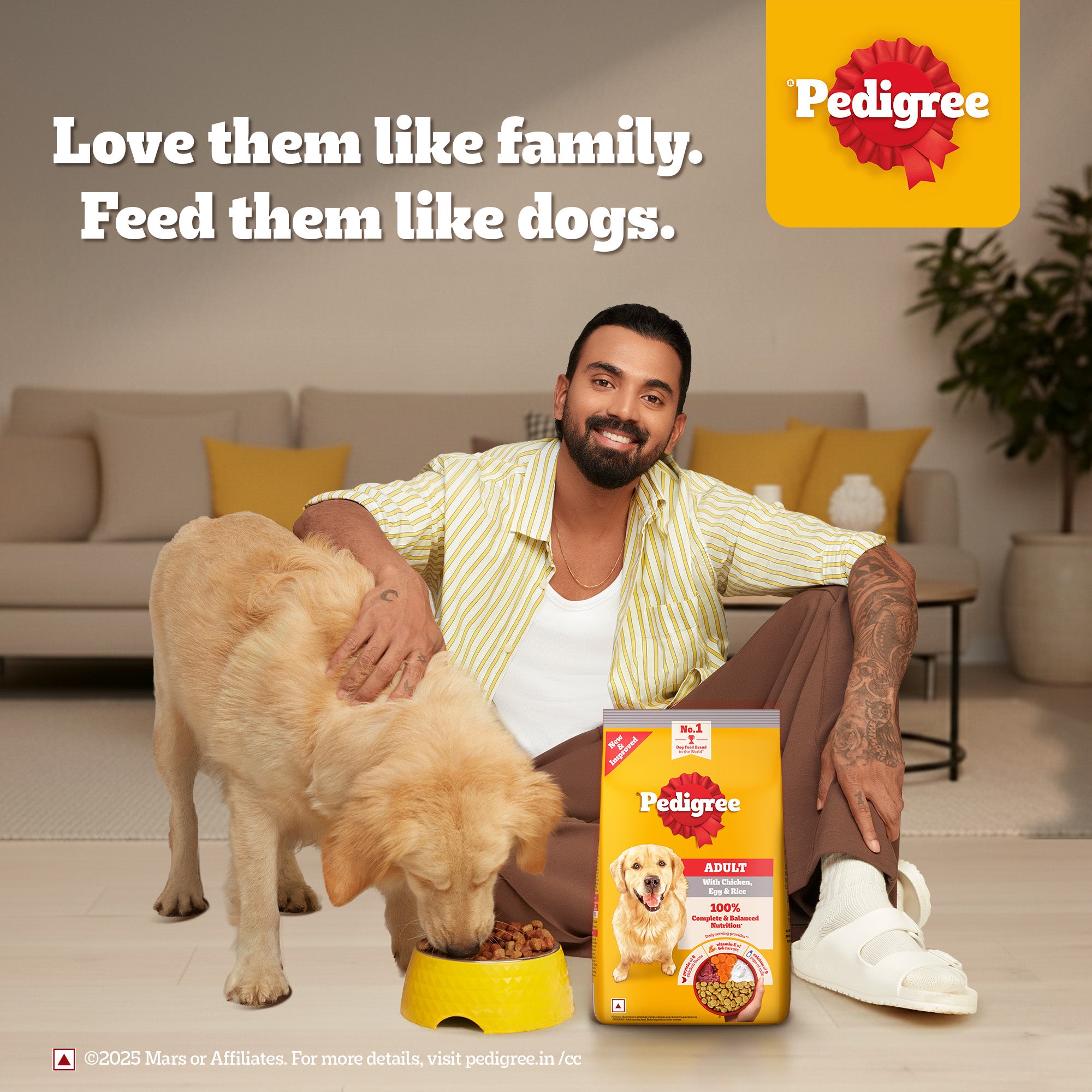 Pedigree Chicken, Egg and Rice Adult Dog Dry Food image 6