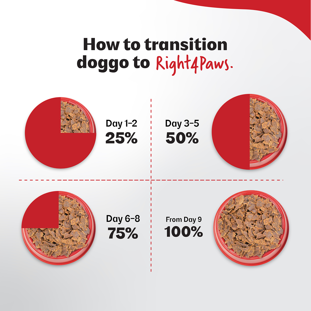 Right4Paws Ultimate Diet Energy+ Adult Dog Dry Food image 7