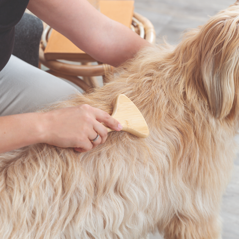 Trixie Detangler for Long Hair for Dogs image 3