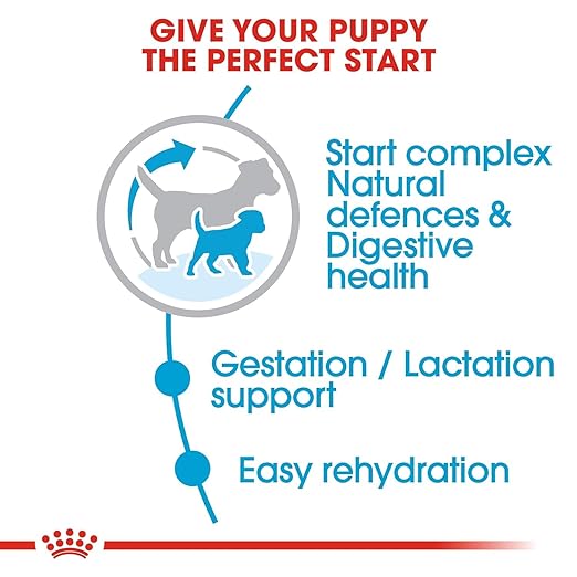 Royal Canin Mini Starter, Mother & Babydog Dry Food image 4