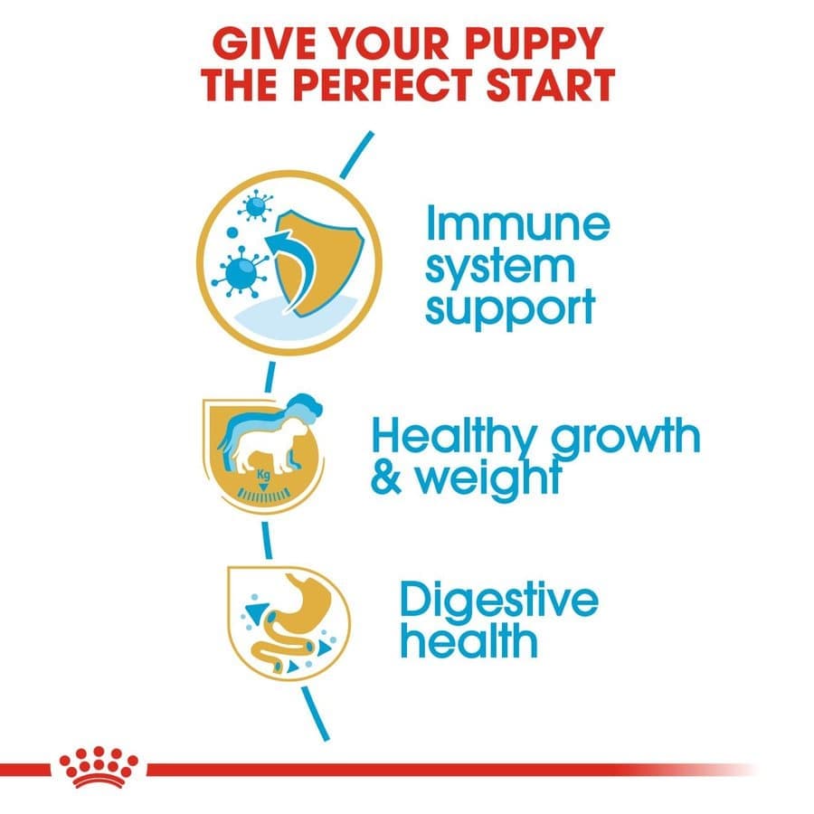 Royal Canin Labrador Retriever Puppy Dog Dry Food image 3