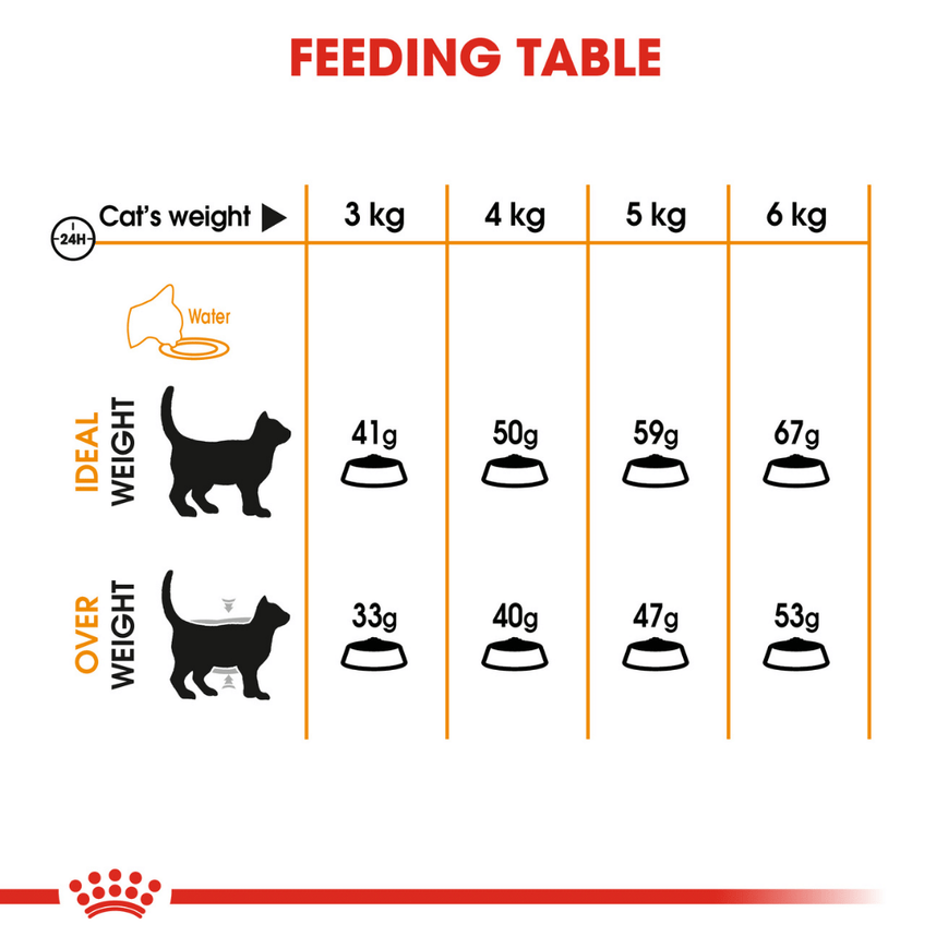 Royal Canin Hair & Skin Care Adult Cat Dry Food image 5