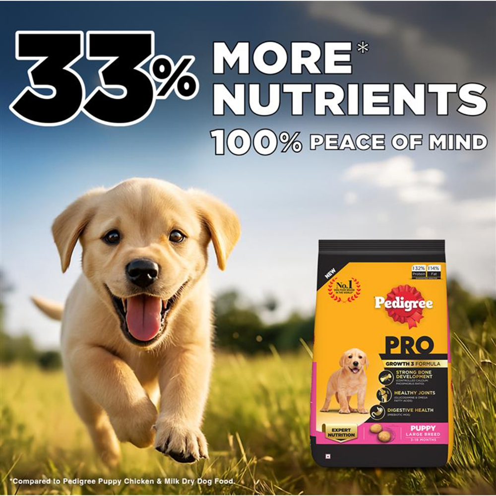 Pedigree PRO Expert Nutrition for Large Breed Puppy(3 to 18 Months) Dry Food image 3