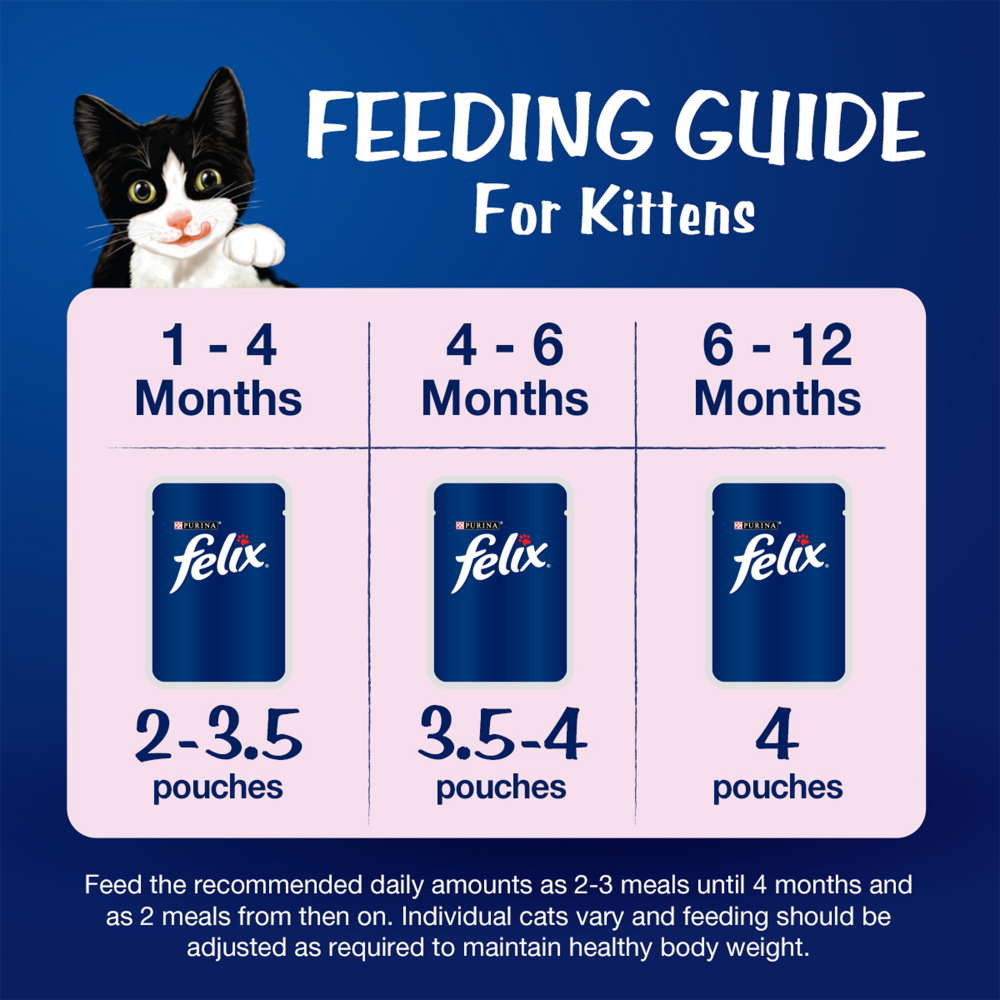 Purina Felix with Tuna in Jelly Complete and Balanced Kitten Wet Food image 5
