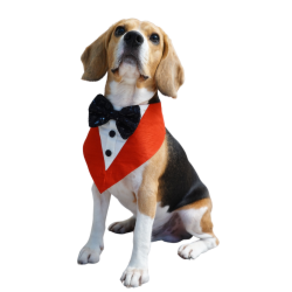 Floof & Co Tux Bandana Triangle for Dogs (Red) image 4