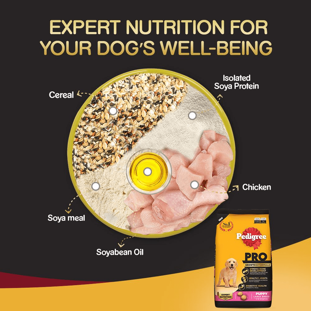 Pedigree PRO Expert Nutrition for Large Breed Puppy Dry and Chicken Chunks in Gravy Puppy Wet Food Combo image 8