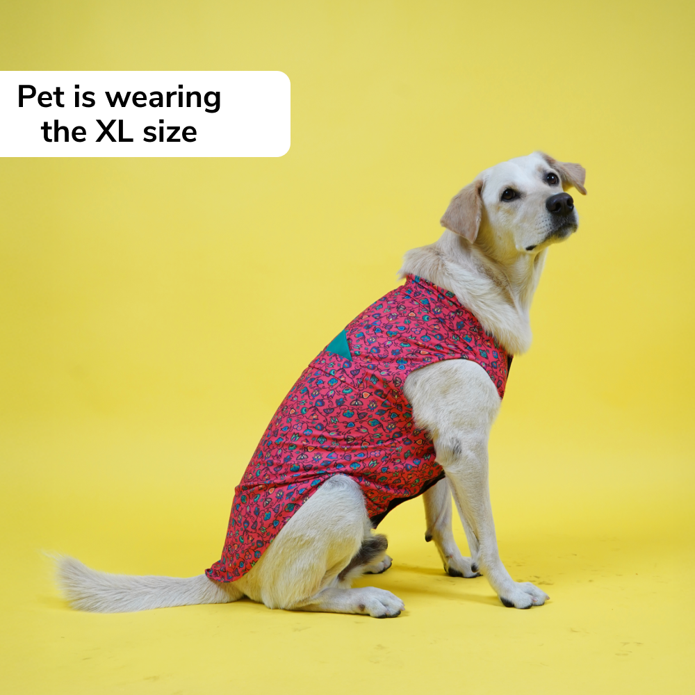 Skatrs Bold Fuchsia Printed Kurta for Dogs and Cats (Pink) image 4