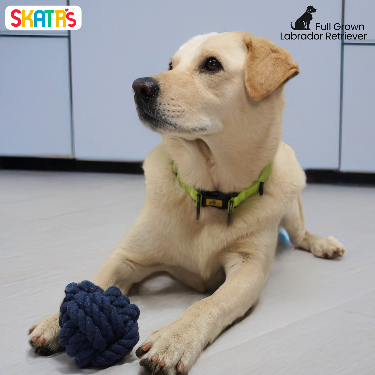 Skatrs Ball Shaped Twisted Rope Chew Toy for Dogs and Cats (Navy Blue) image 4
