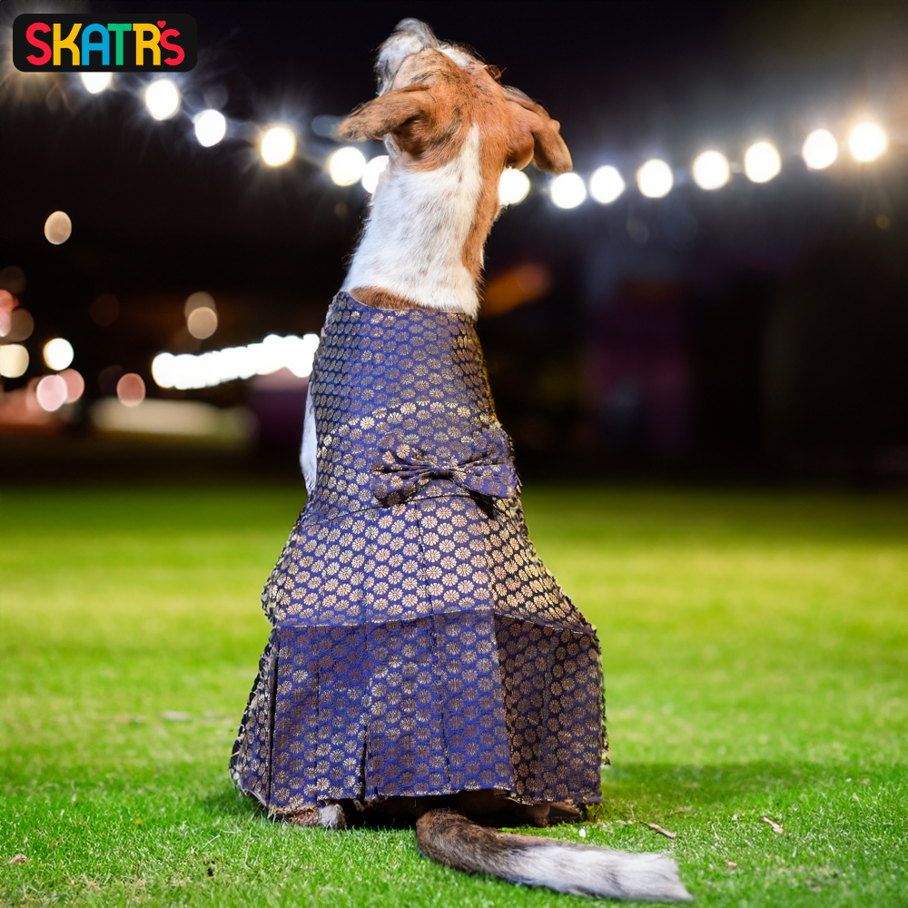 Skatrs Brocade Gold Printed Dress for Dogs and Cats (Blue) image 5