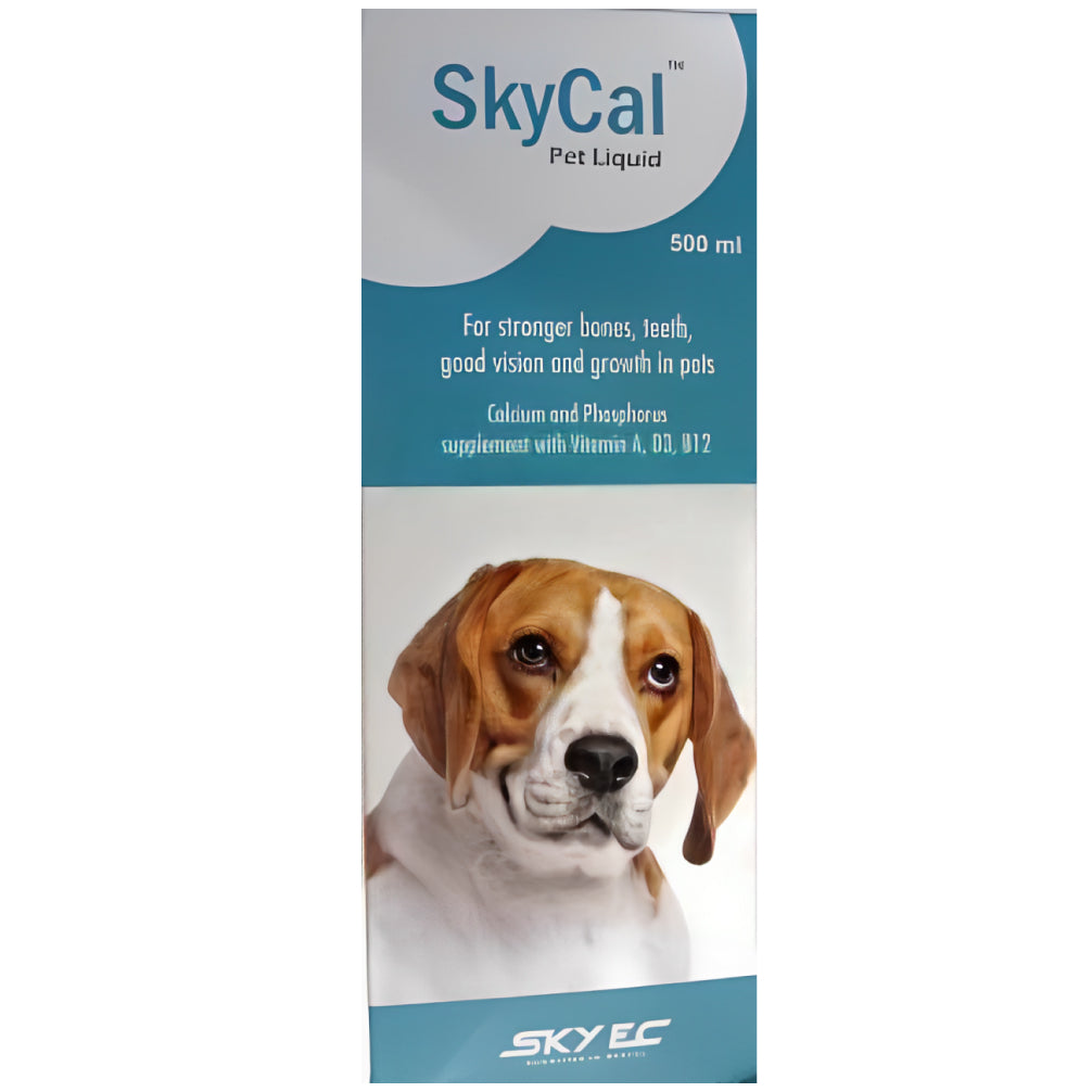 Skyec Sky Cal Calcium Supplement Syrup for Dogs and Cats image 2