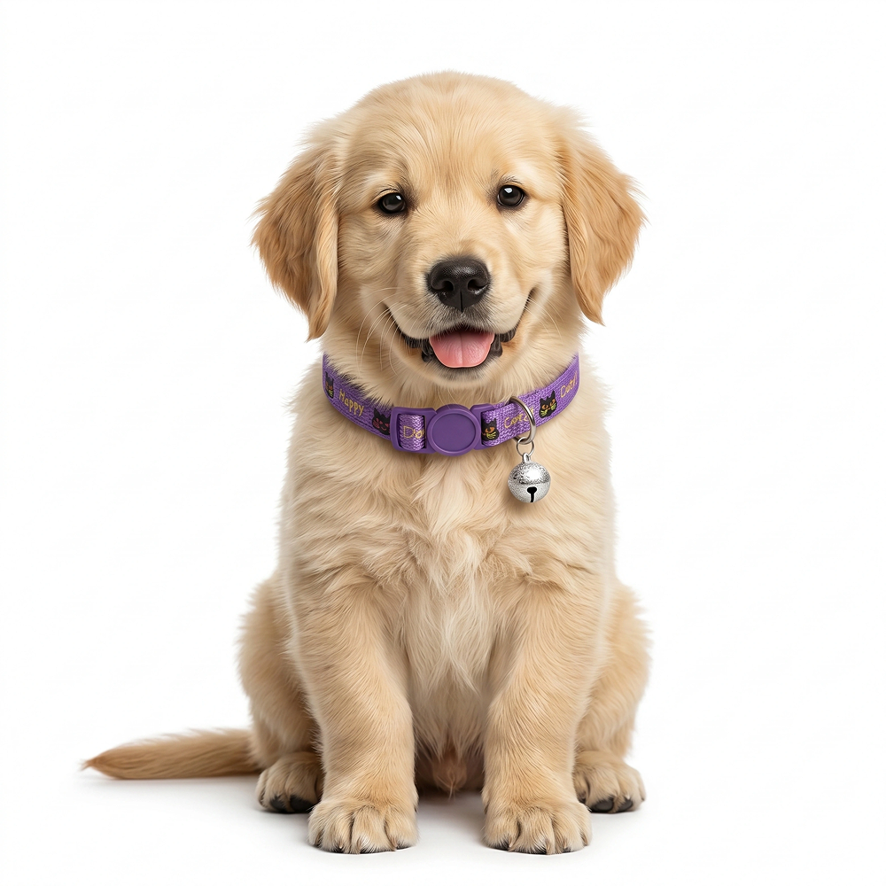 Basil Printed Collar for Cats & Puppies (Purple) image 4