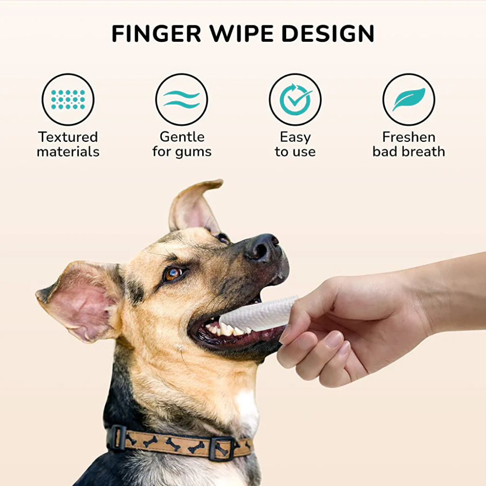 QPets Finger Dental Wipes for Dogs and Cats image 3