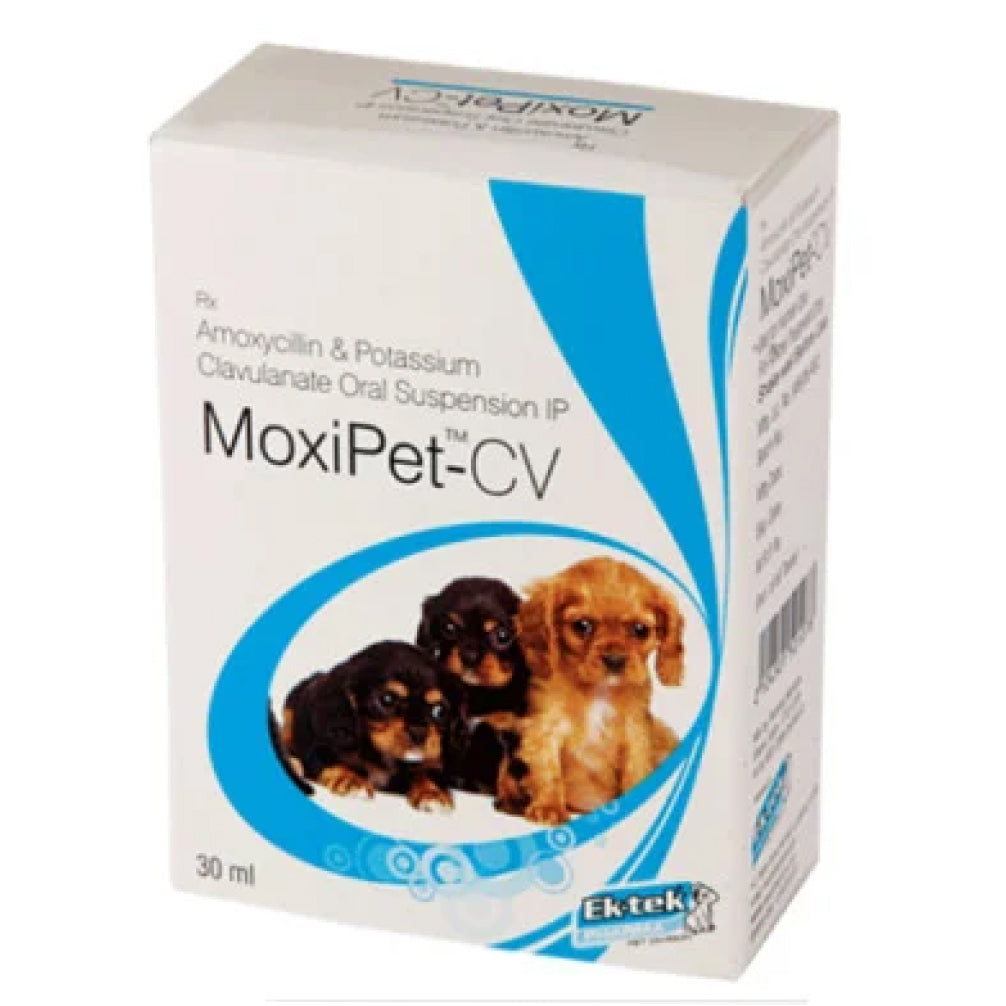 Ek Tek Moxipet CV Dry Oral Suspension 30ml for Dogs