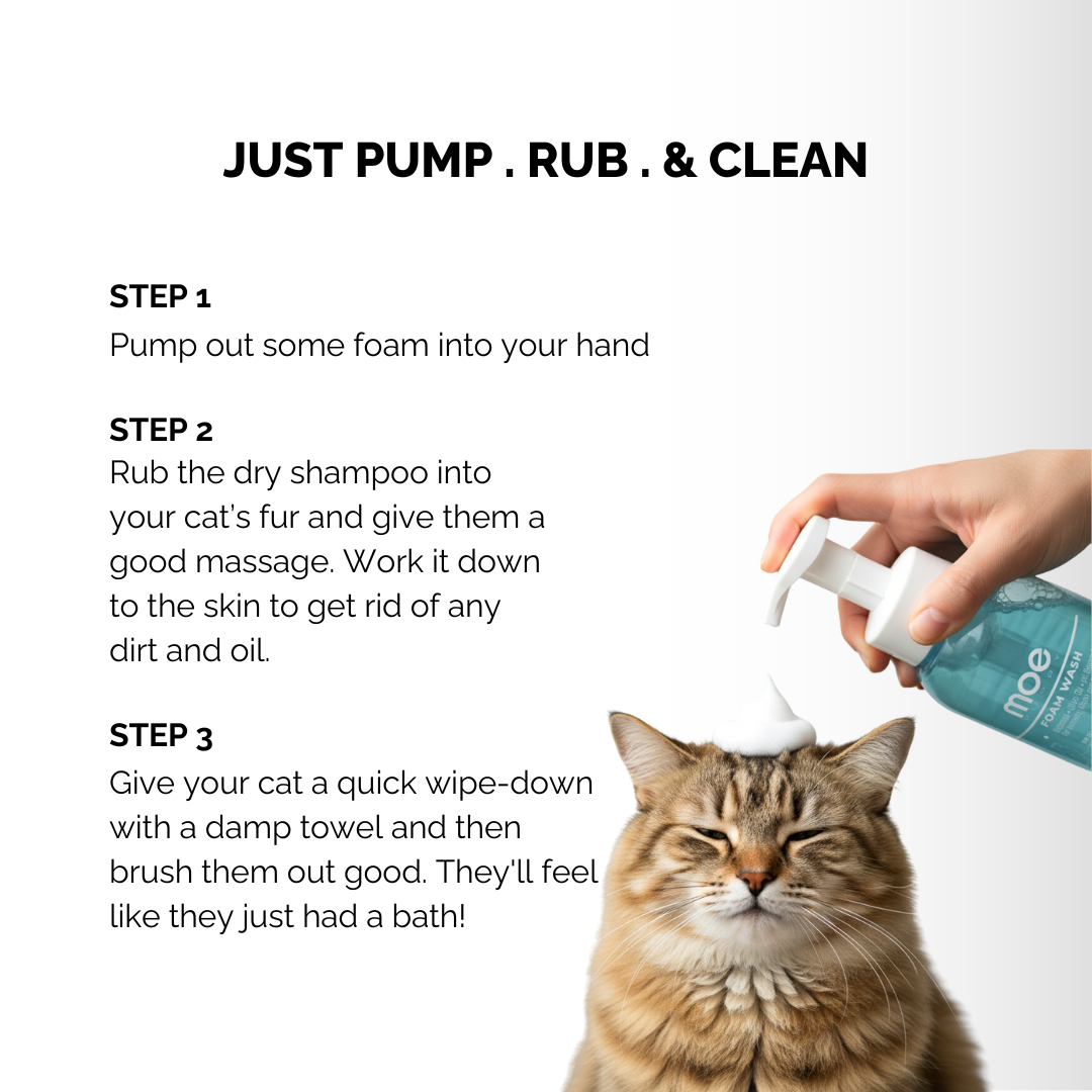 Moe Puppy Cleansing & Conditioning Foam Shampoo for Cats image 3