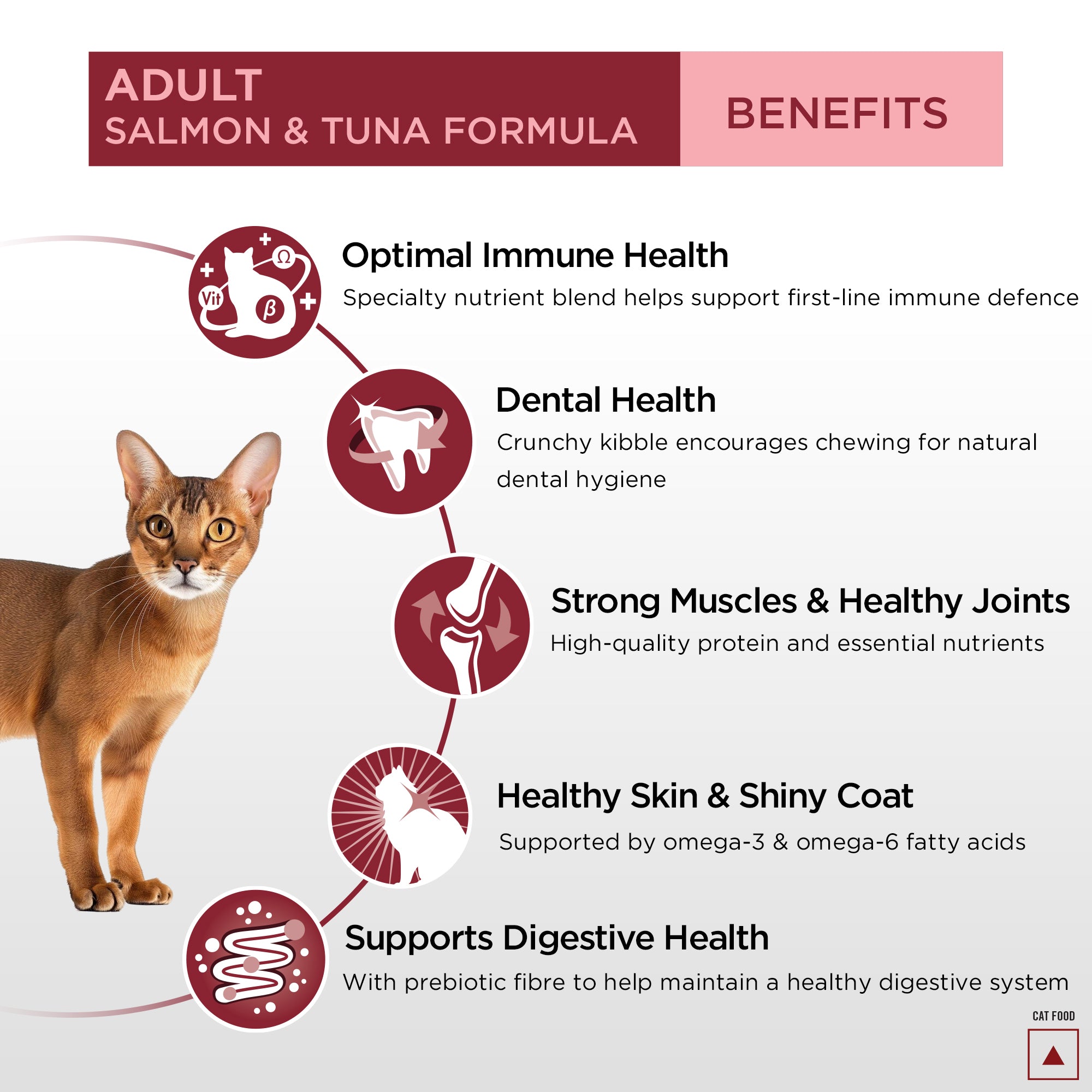 Pro Plan Salmon Tuna Flavoured Adult Cat Dry Food image 10