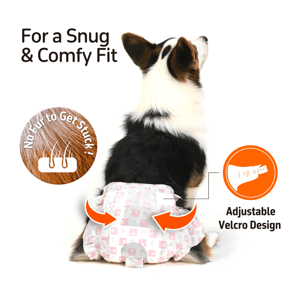 Barkbutler x Fofos Diaper for Male Dog (20x25cm) image 4