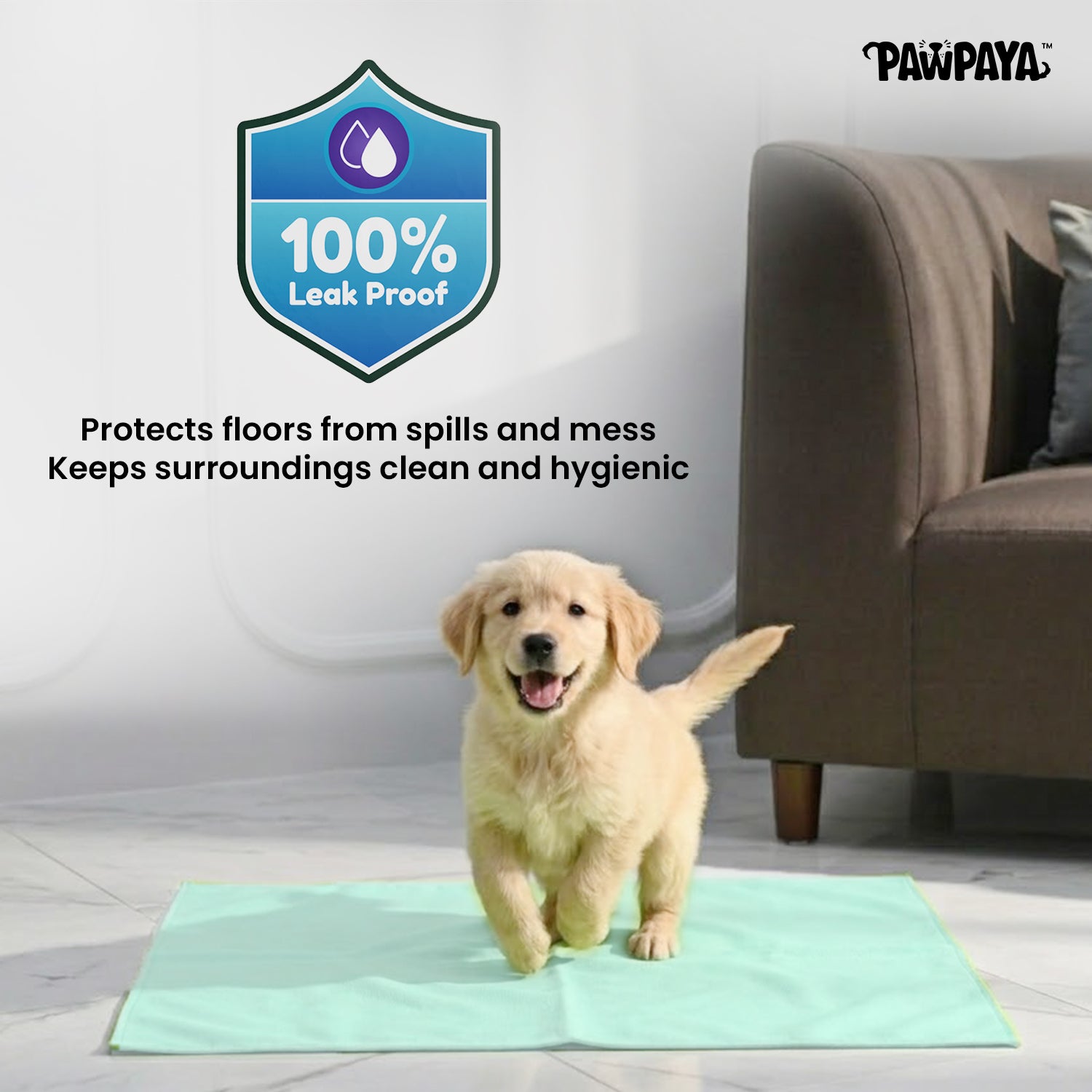 Pawpaya Washable Training Pads for Dogs (Pack of 1) image 5