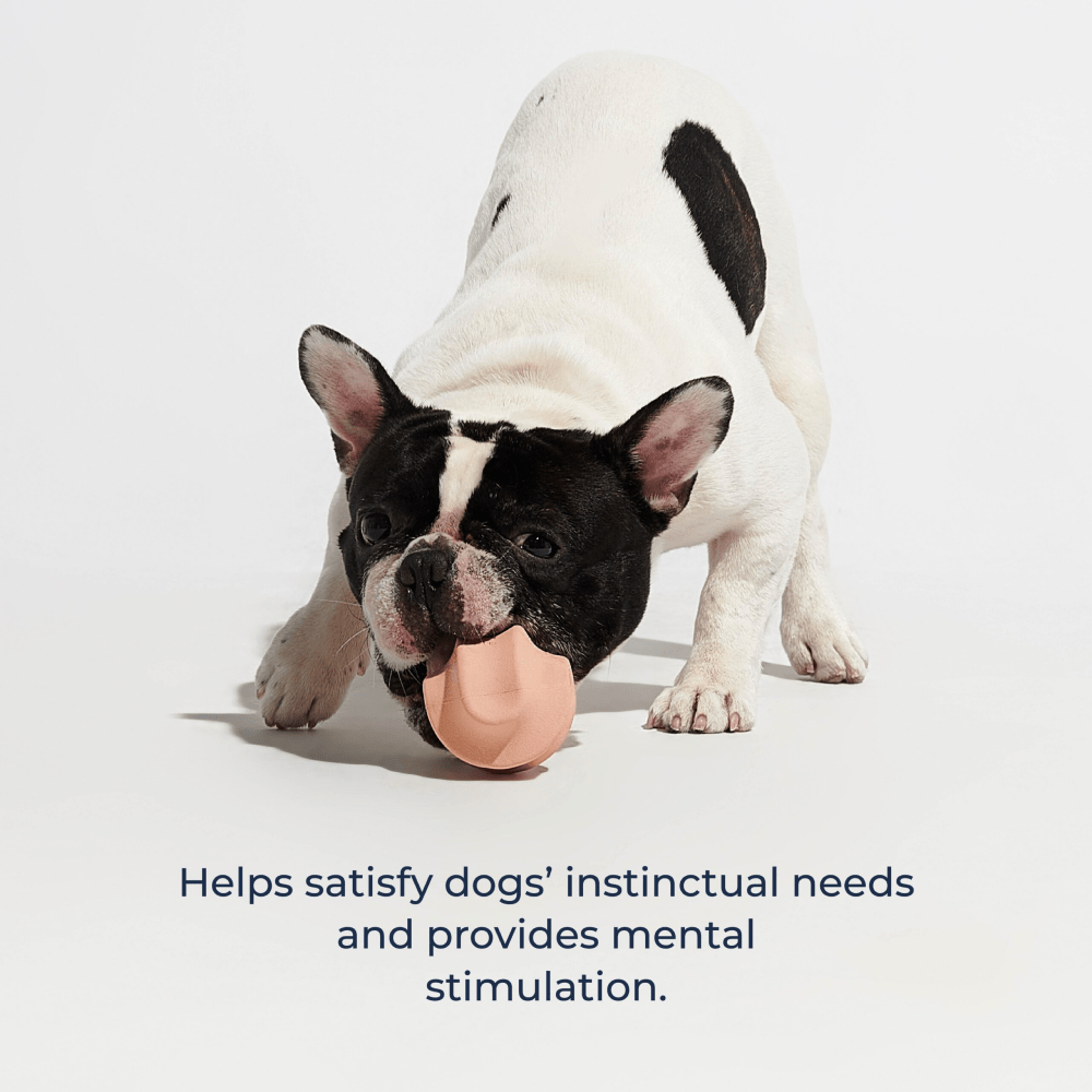 Furry & Co Roller Toy for Dogs (Indigo Blue) image 9