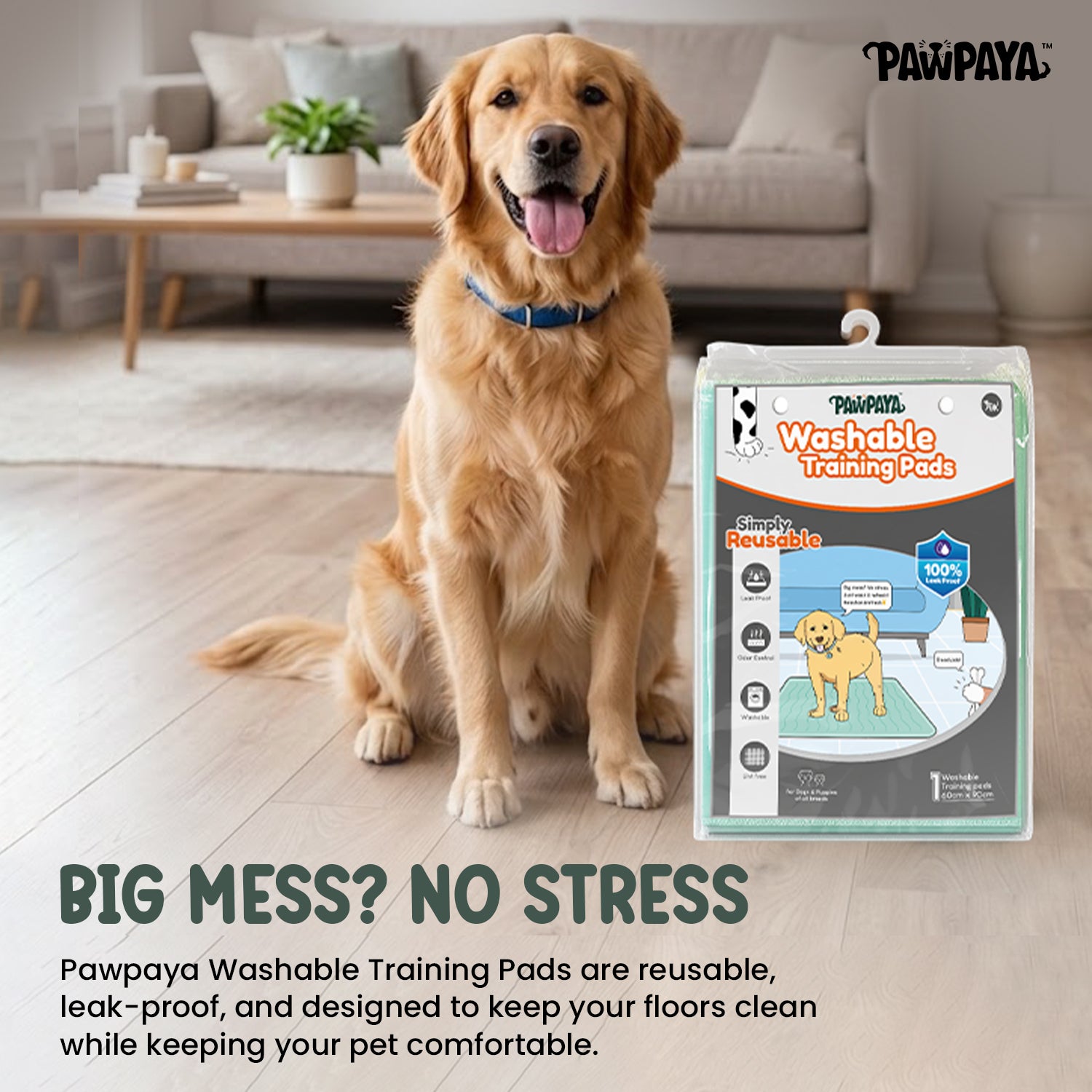 Pawpaya Washable Training Pads for Dogs (Pack of 1) image 4