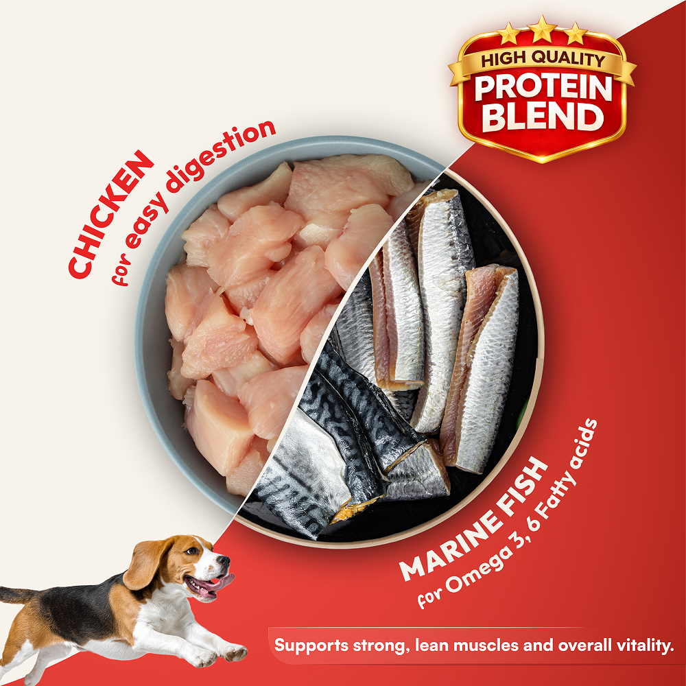 DatGud Chicken & Brown Rice Adult Dog Dry Food (Buy 1 Get 1 Free) image 6