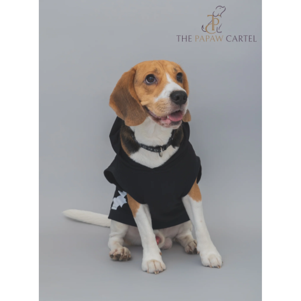 The Papaw Cartel Everyday Mood Hoodie Tshirt for Dogs (Black)