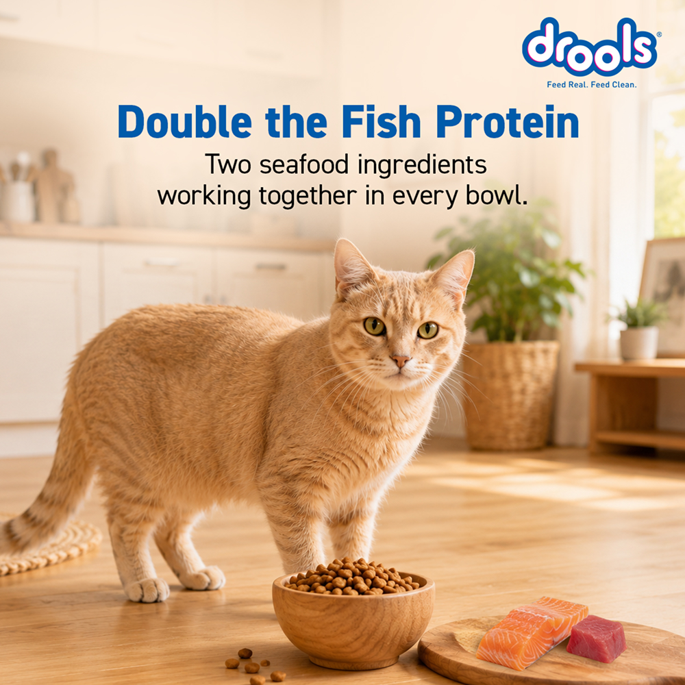 Drools Tuna & Salmon Adult Dry Cat Food image 9