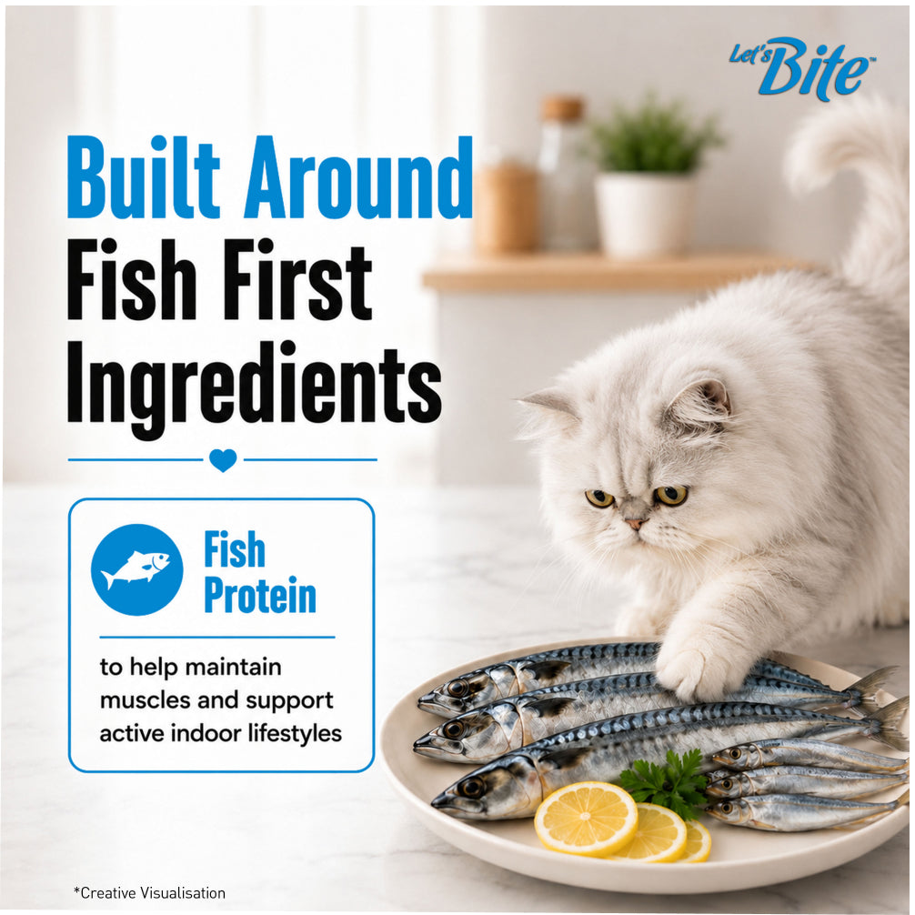 Let's Bite Active Persian Ocean Fish Cat Dry Food image 3