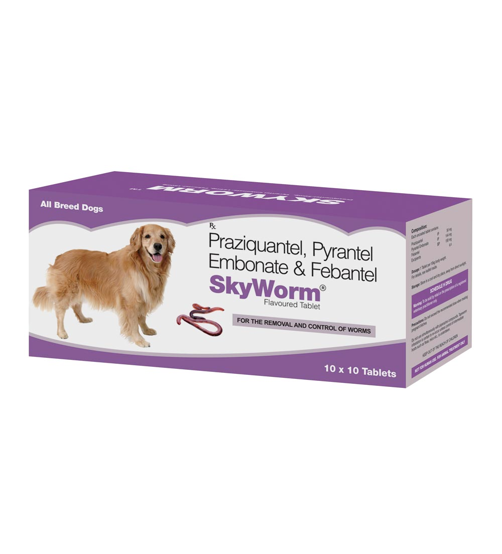 Skyec Skyworm Dog Deworming Tablet image 2