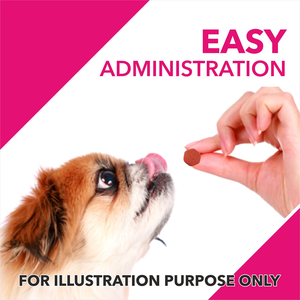 Drools Absolute Skin & Coat Supplement Tablets for Dogs image 4