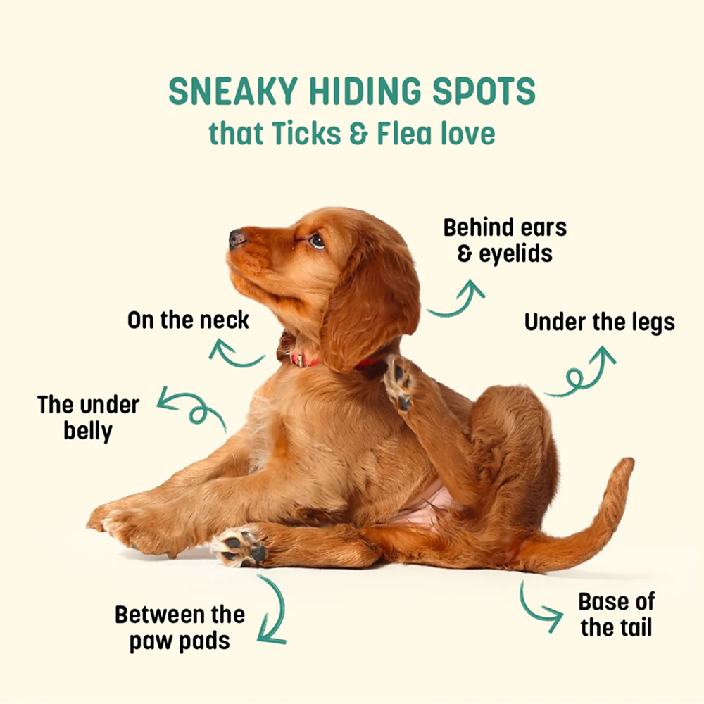 HUFT Sara's Natural Anti Flea & Tick Powder for Dogs and Cats image 4