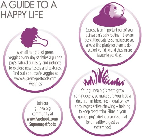 Science Selective Junior Guinea Pig Food image 4