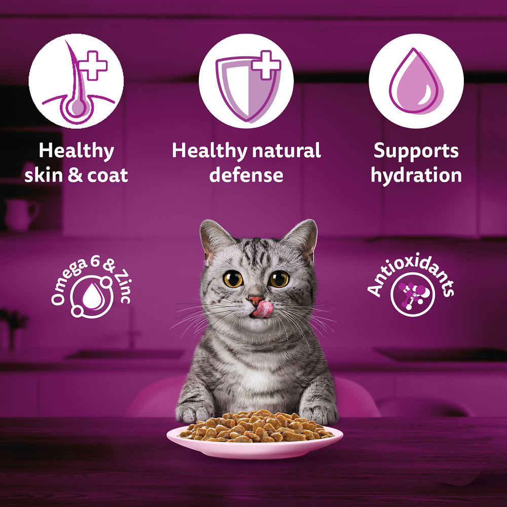 Whiskas Salmon in Gravy Meal Adult Cat Wet Food image 9