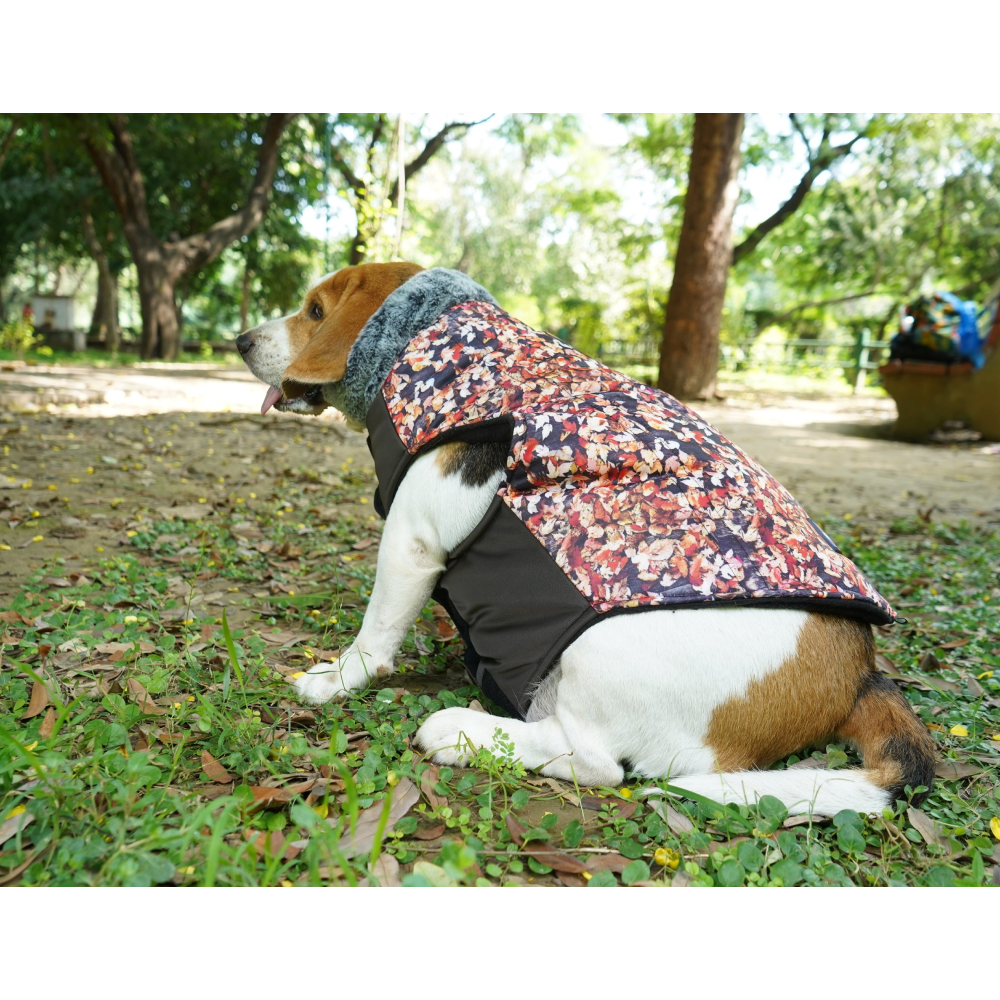 Up4pets Small Autumn Leaf Polyester Fleece Jackets for Dogs and Cats image 5