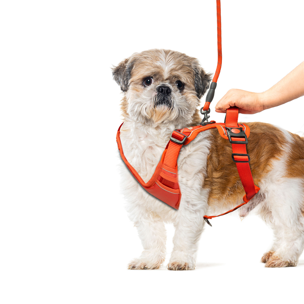 Kibbo Reflective Vest Harness with Dual Lock Buckle for Dogs (Red) image 2
