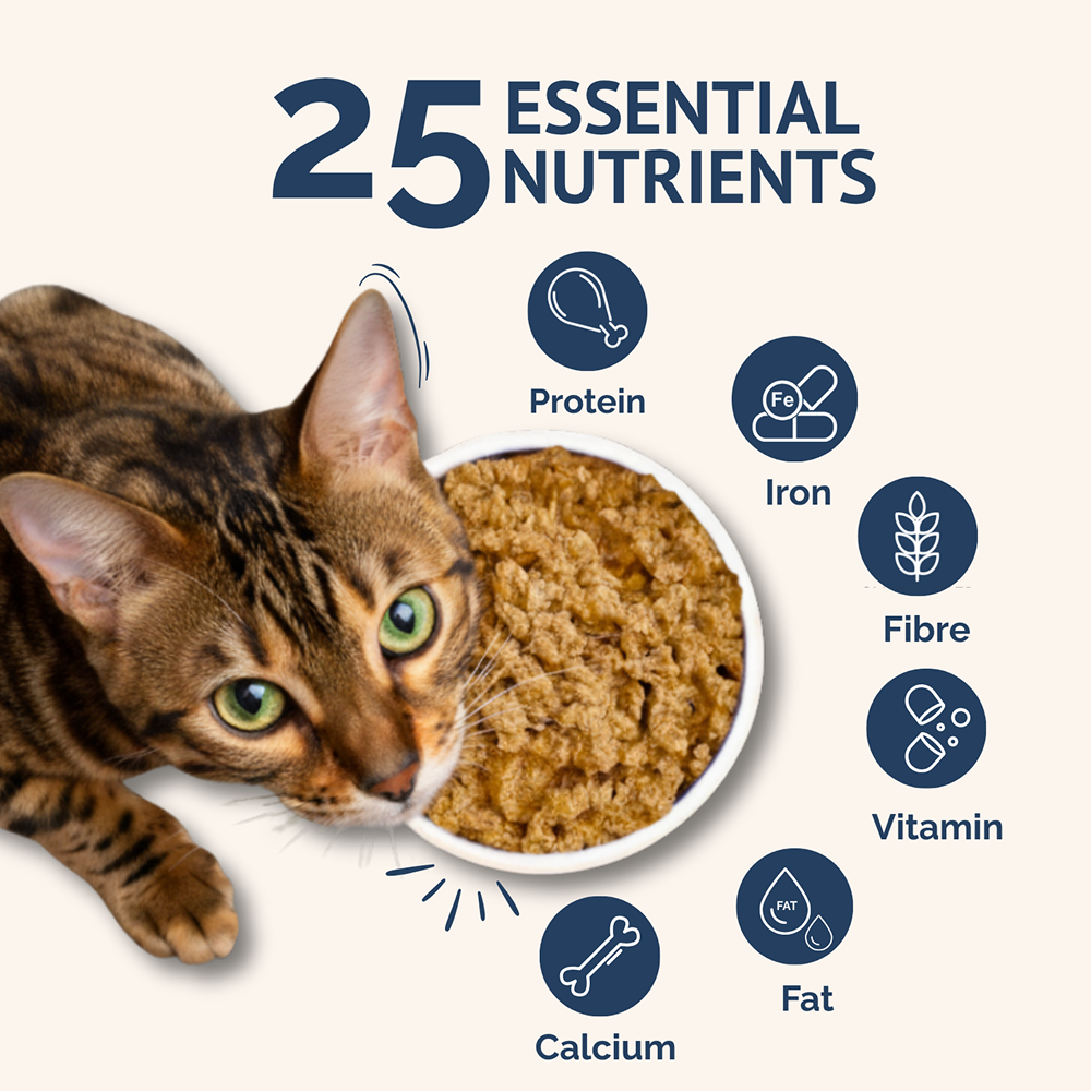 Goofy Tails Mackerel & Chicken Cat Meals image 5