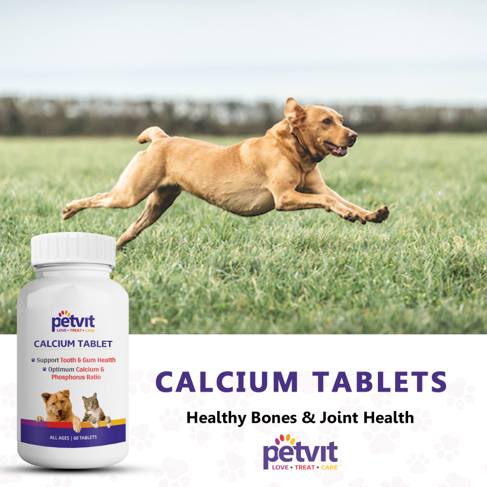 Petvit Calcium Tablets for Dogs and Cats image 8
