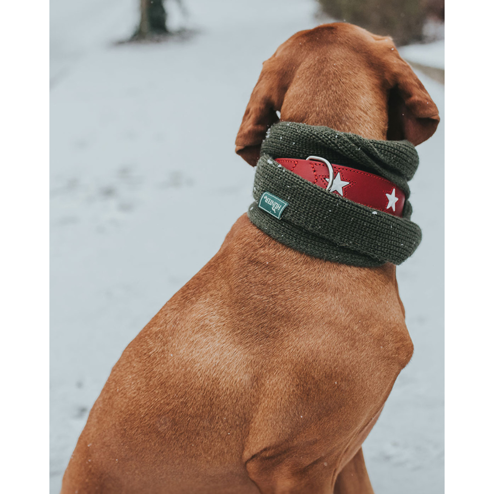 Hunter Magic Star Collar for Dogs (Red) image 3