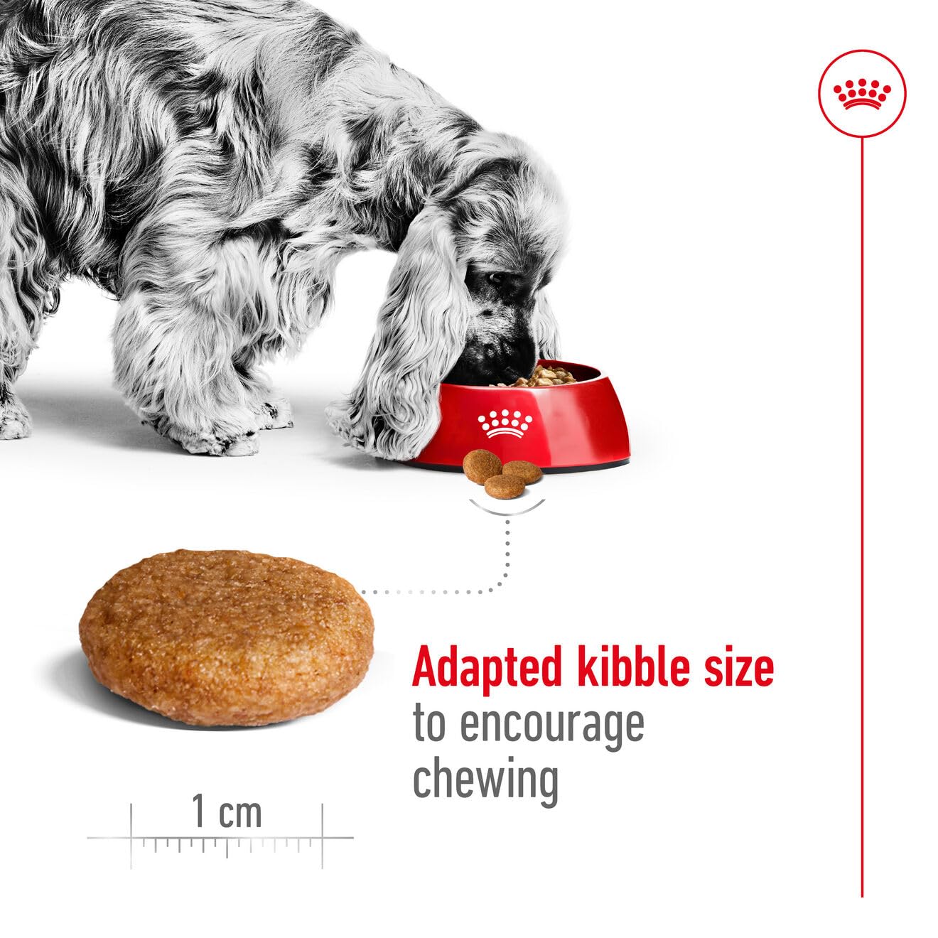 Royal Canin Medium Adult Dog Dry Food image 2