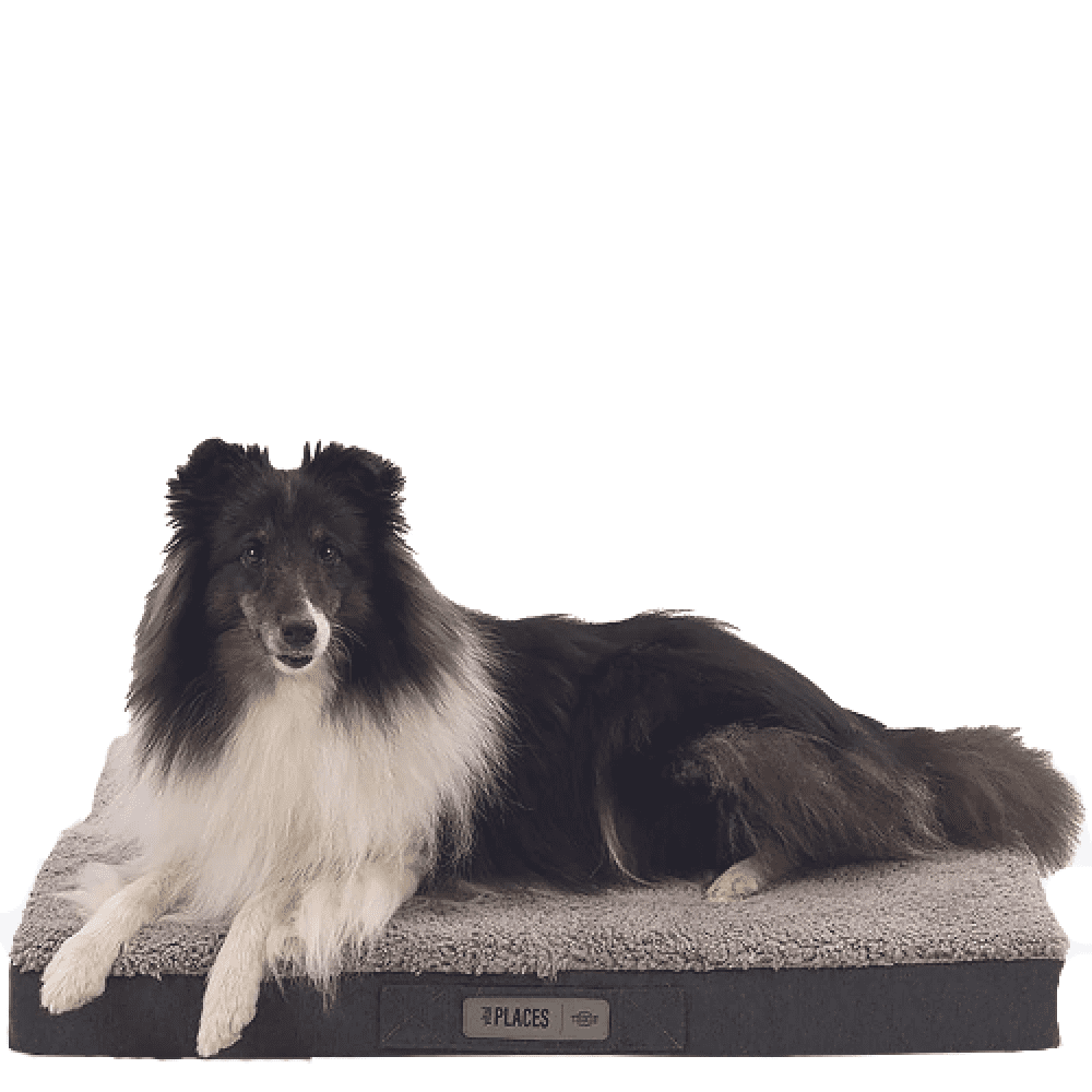 Trixie Bendson Vital Orthopaedic Mattress for Dogs (Grey) image 4